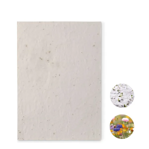 Papier A5 graines de fleurs - ASIDE